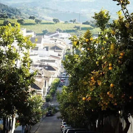 Holiday home La Payana, Sierra De Grazalema Consultar Precios En La Payana *